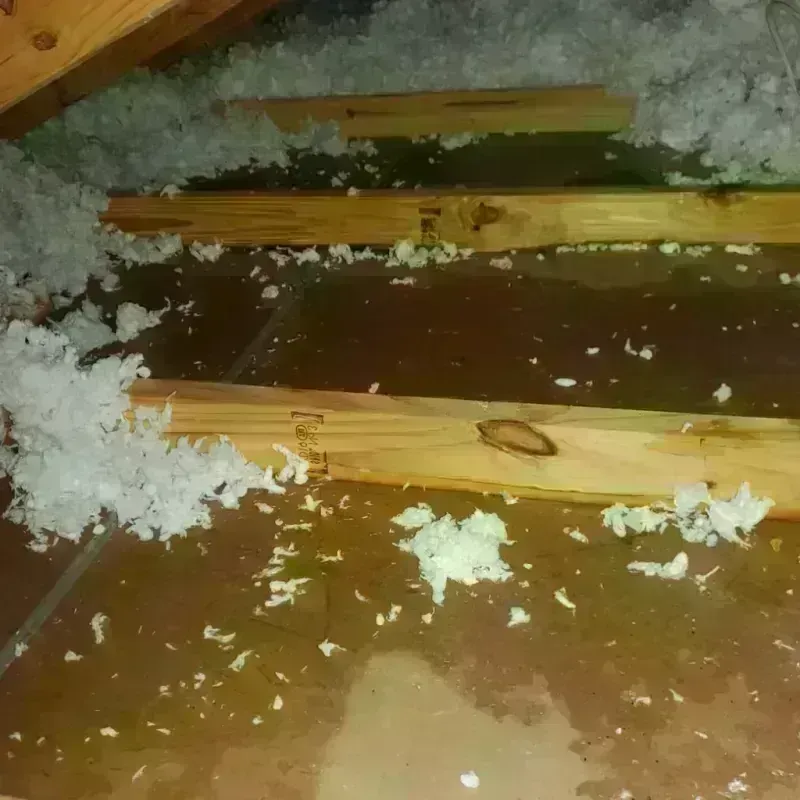 Attic Water Damage in West Cape May, NJ